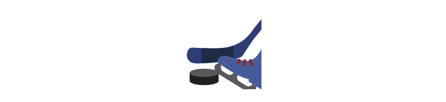 Hockey sur glace