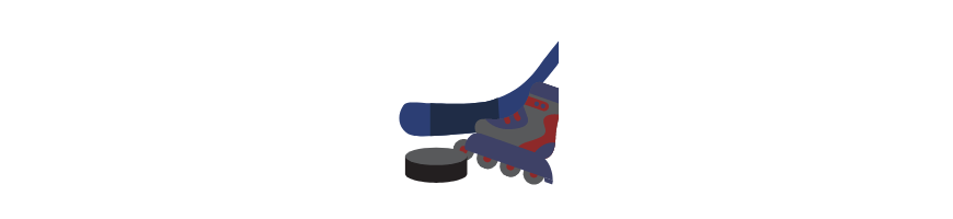 Roller hockey