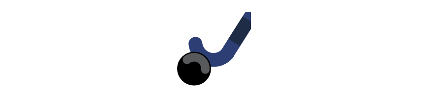 Rink hockey
